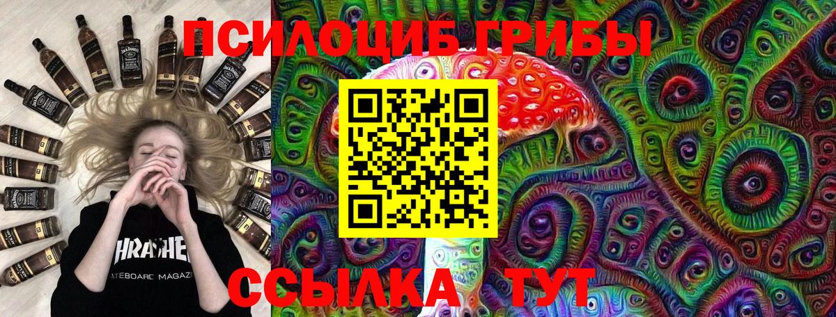 Москва  Псилоцибиновые грибы GOLDEN TEACHER  Вход с VPN 